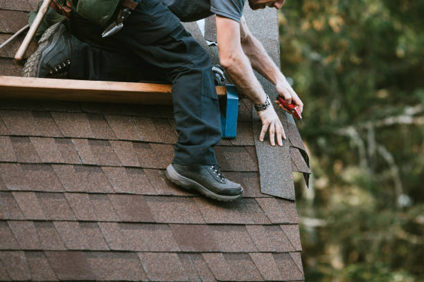 Best Roof Leak Repair  in USA